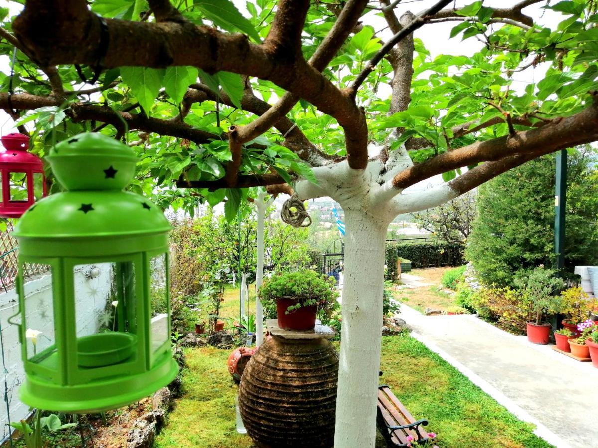 Vasiliki Appartement